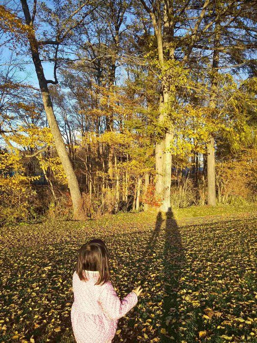 障がいを持つ娘との暮らし〜コミュニケーション〜