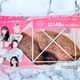 【ローソン×NiziU】おまけ付きが嬉しい!ふわふわしっとり食感のケーキが美味