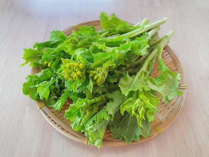 【野菜のプロが解説】意外と知らない「菜の花」「菜花」のちがい