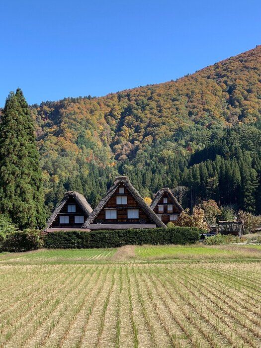 GO TOトラベルで世界遺産へ