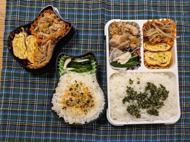 【お弁当】本日も節約弁当なり２８