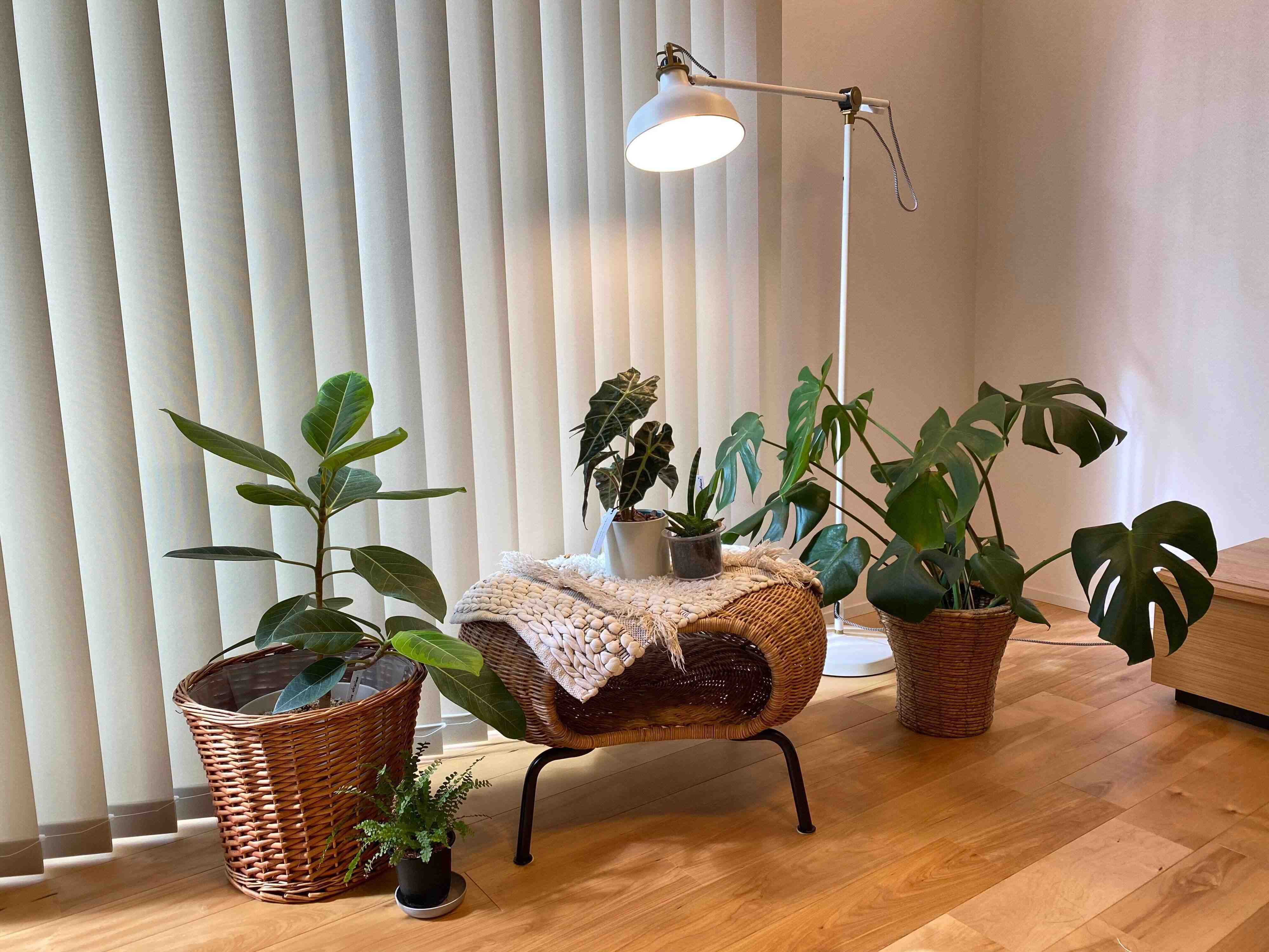 【自己紹介】この度、サンキュ！STYLEライターとして活動することになりました