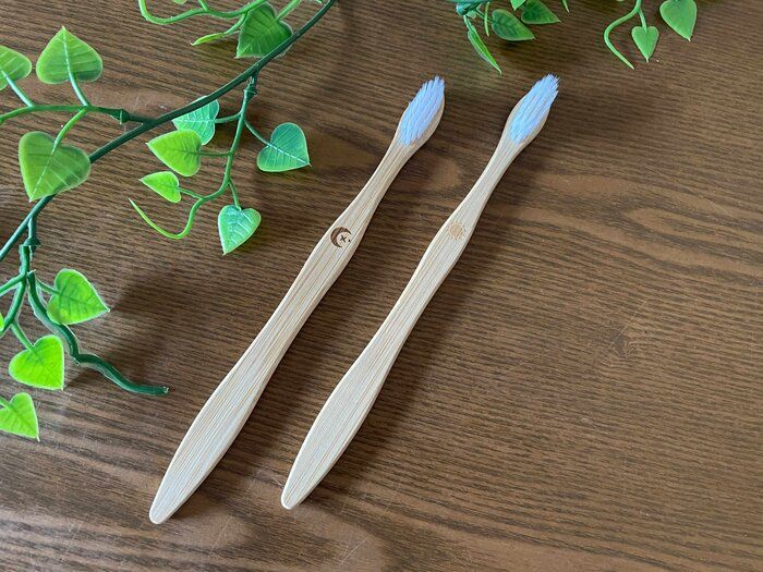 【ダイソーでSDGs】環境にやさしい竹の歯ブラシ見つけた！