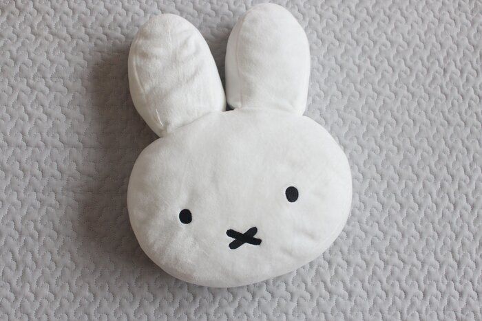 【ダイソー】～これが100円！？可愛すぎるmiffyアイテム～