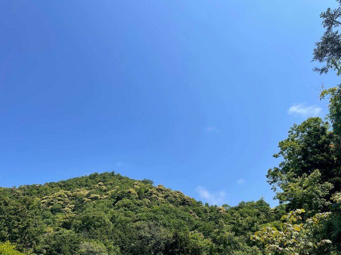 【シンプリスト】気持ちがモヤモヤした時の対処法3選