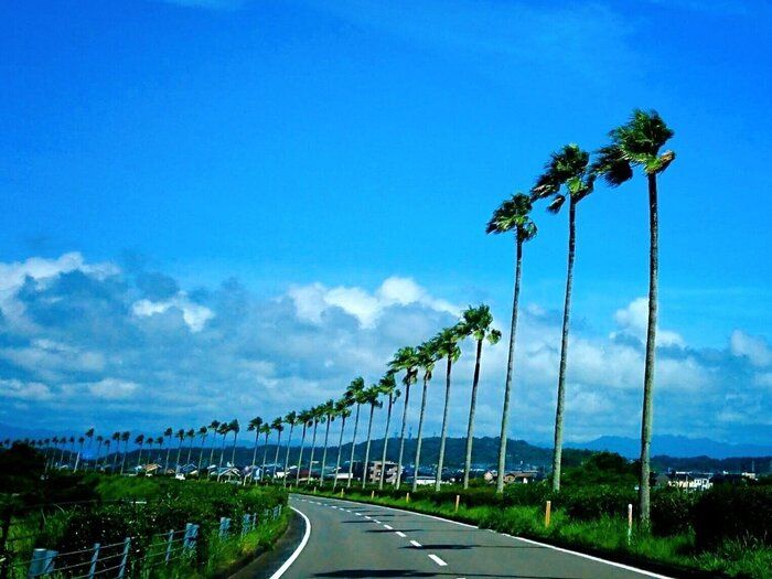 【長期休み】もうイライラしないで！高校生ママが実践したきたお昼ごはん問題の解決法４選