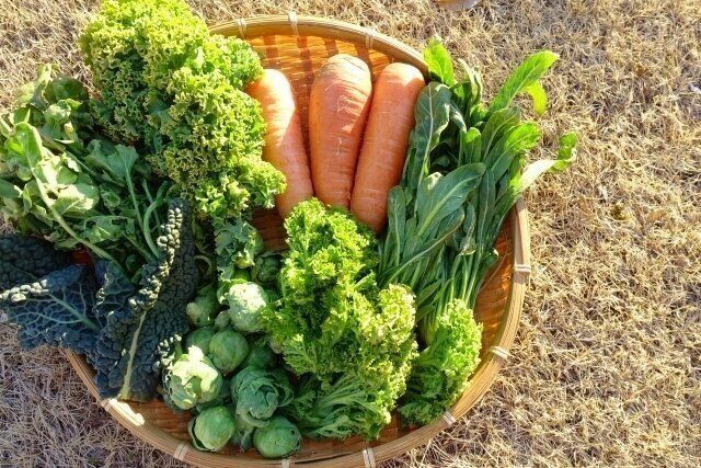 春野菜はなぜおいしい？意外なワケとかしこい食べかたを野菜ソムリエ・気象予報士が解説