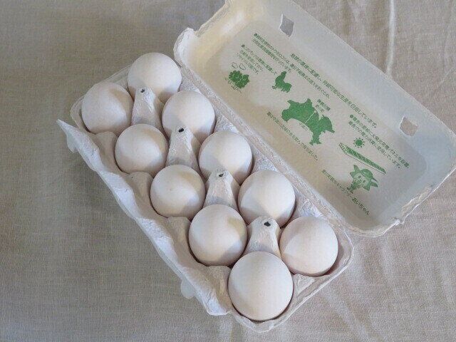 卵パックは紙製がおすすめ！イライラが減る激推しの理由3つ