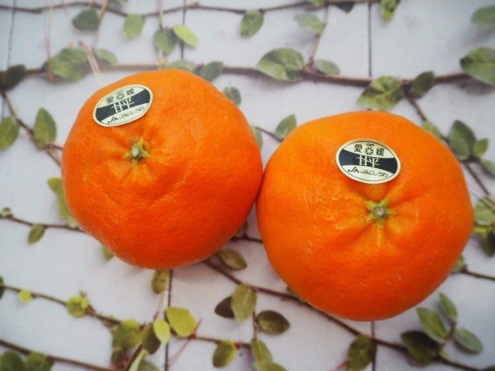 甘くてシャキッ！プチプチ！なアレ☆