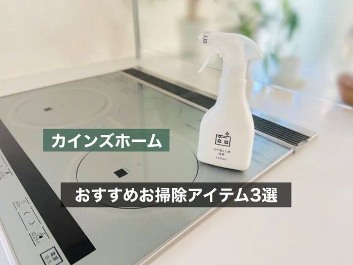 カインズ行ったらこれ買って！おすすめお掃除アイテム3選