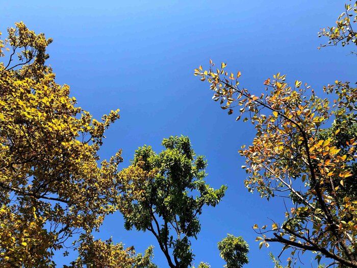 アラフォーが懐かしむ90年代の名作！また膝を抱えて観たいTVドラマ3選