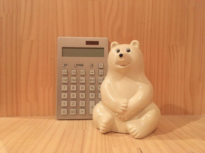 家計簿挫折組集まれ！簡単5つのステップで今年こそ節約体質に！