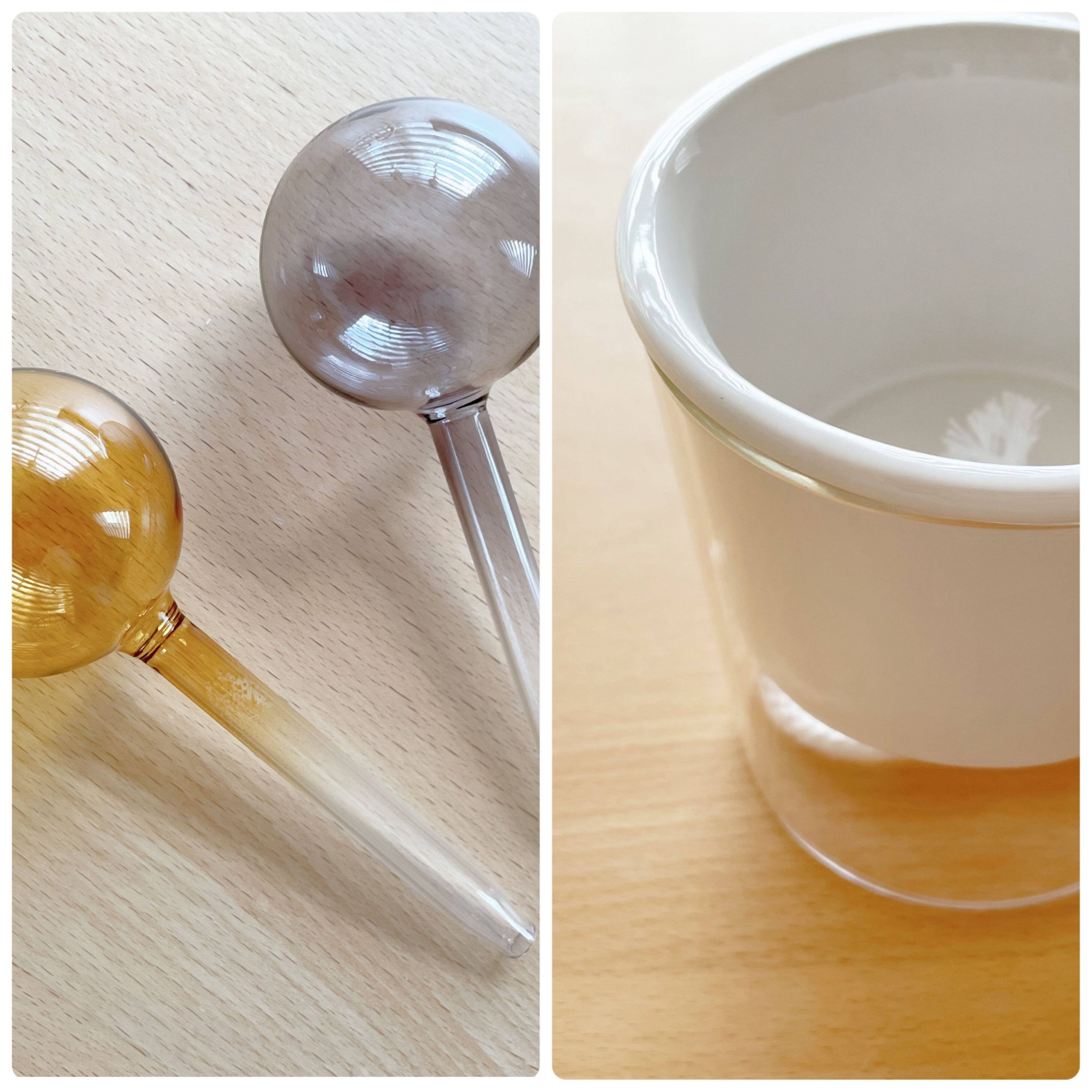 【3COINS】ズボラさんにぴったり！グリーンのある暮らしを楽にしてくれるアイテム2つ