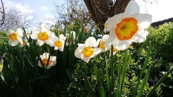 感動した、娘の作文。