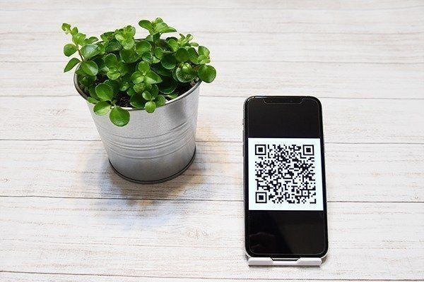 話題の楽天ペイ！本当にお得？どれ位お得？