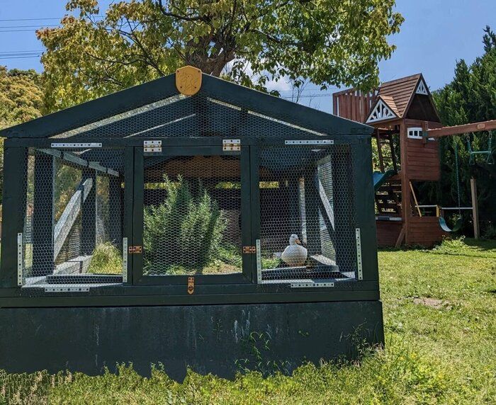 【東京→福岡】移住生活4年で感じる「田舎暮らしのデメリット」3選