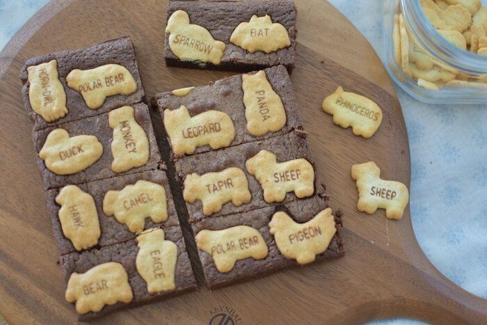 本格なのに簡単！ハロウィンにもおすすめ"2度おいしいチョコブラウニー”