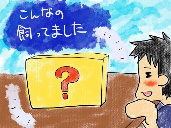 【自粛生活】こんな生き物飼いました