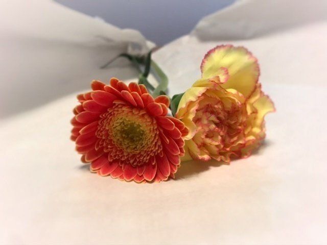 【新型コロナウイルス】消費落ち込み「主婦にできる事」