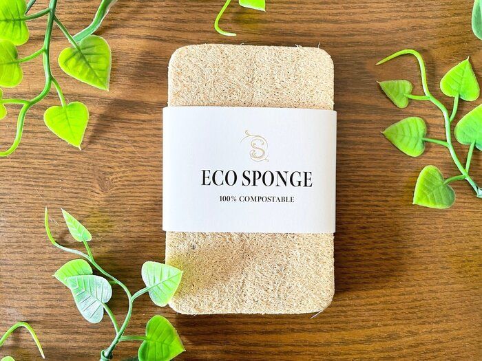 【SDGs】元家政婦がキッチンスポンジを「ヘチマ」に変えてみました