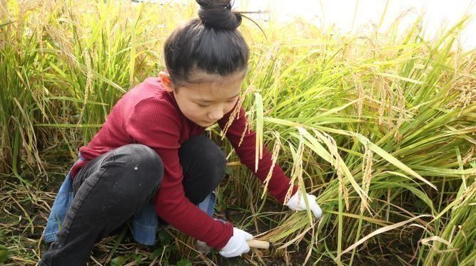 臼井家の食農育