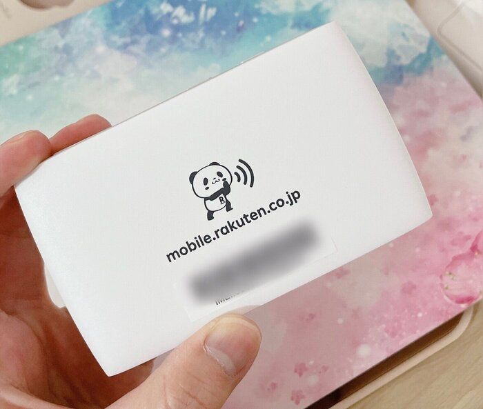 【超格安】つながりにくいって本当？楽天のポケットWiFiを使ってみた！