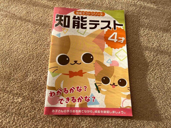 【セリア】知能テスト！100円で子どもの能力チェック！