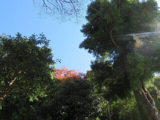 年を重ねても健康に！70代後半でも元気な義父母に学ぶ