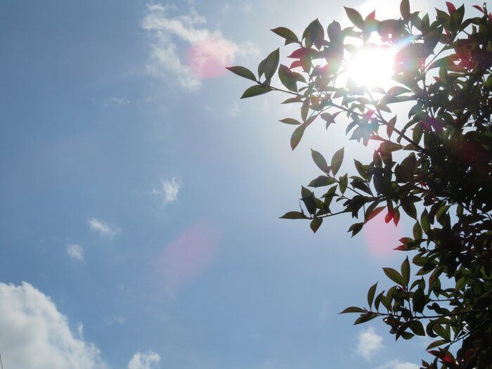 時間に追われるズボラ主婦が朝「あえてやらない」こと3つ