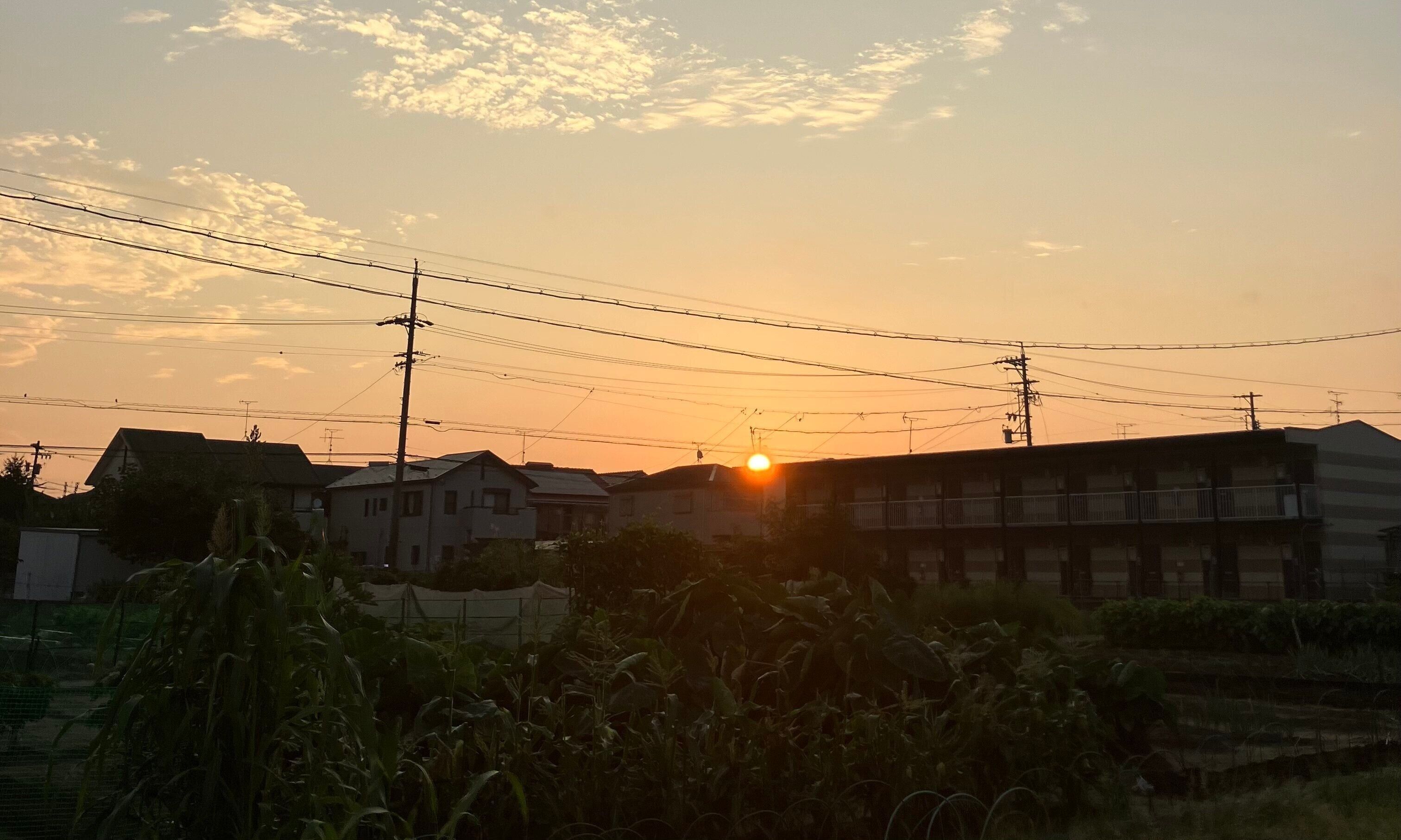 習慣化できない理由は？できない理由とできた理由を深掘してみた