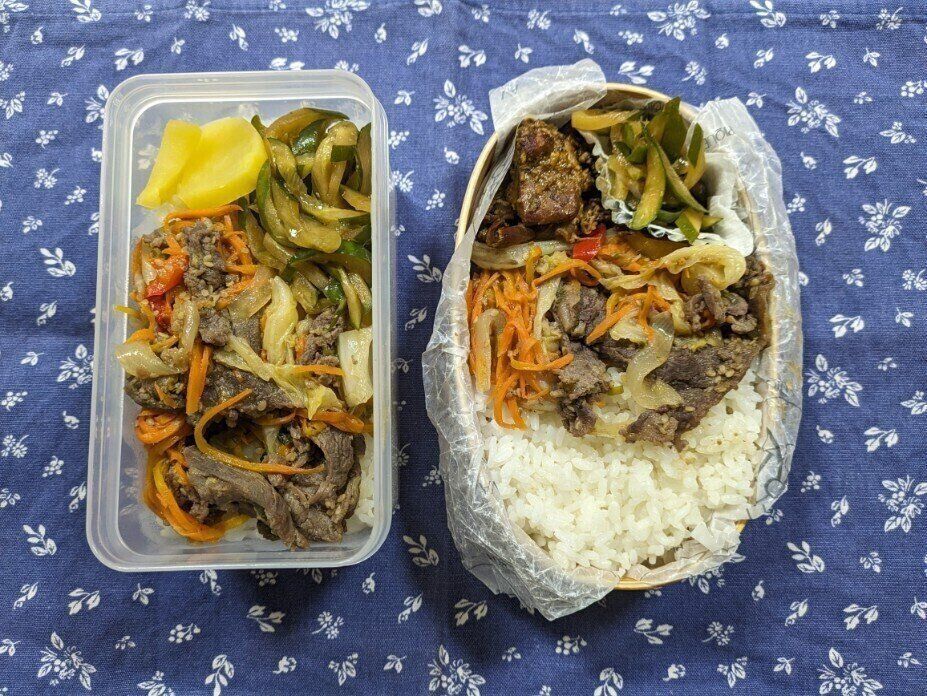 【お弁当】本日も節約弁当なり１４