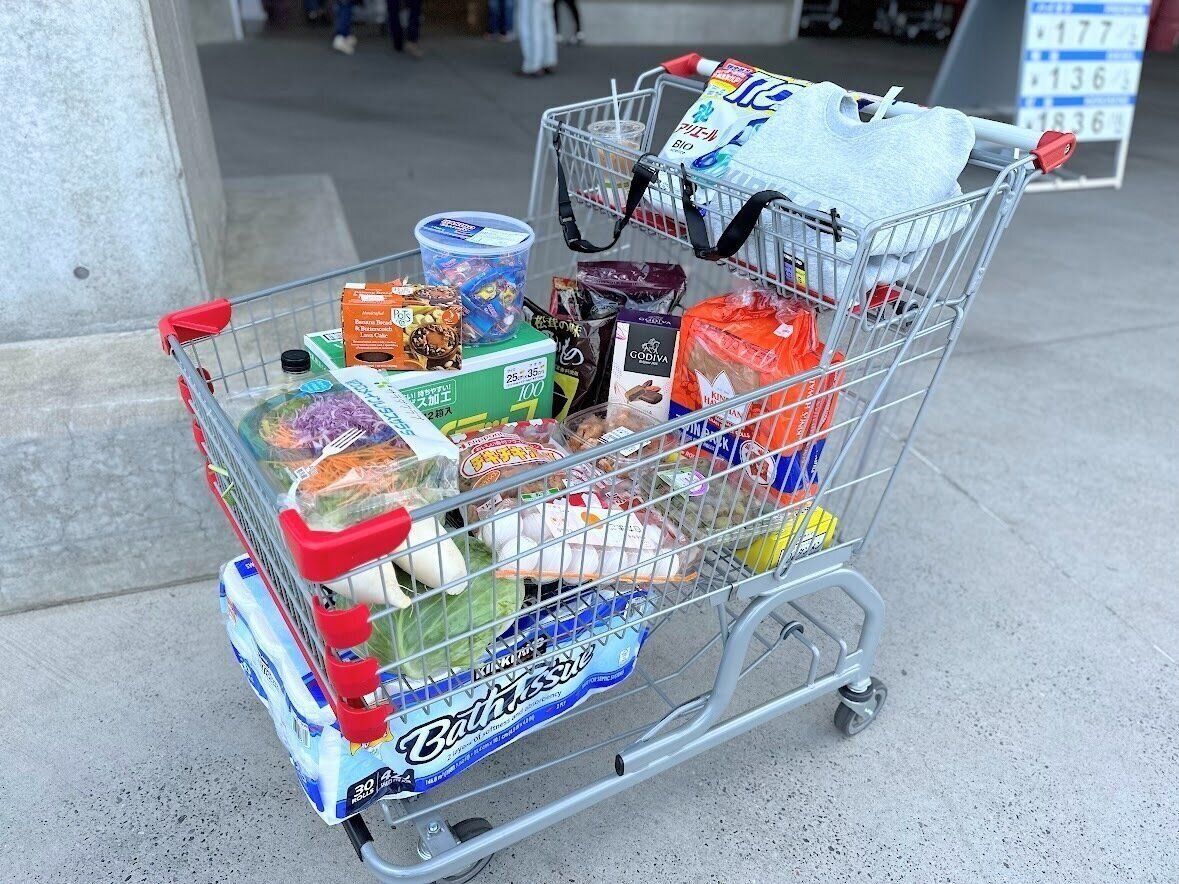 コストコナビゲーターのリアル買い！鬼リピートアイテム4選！