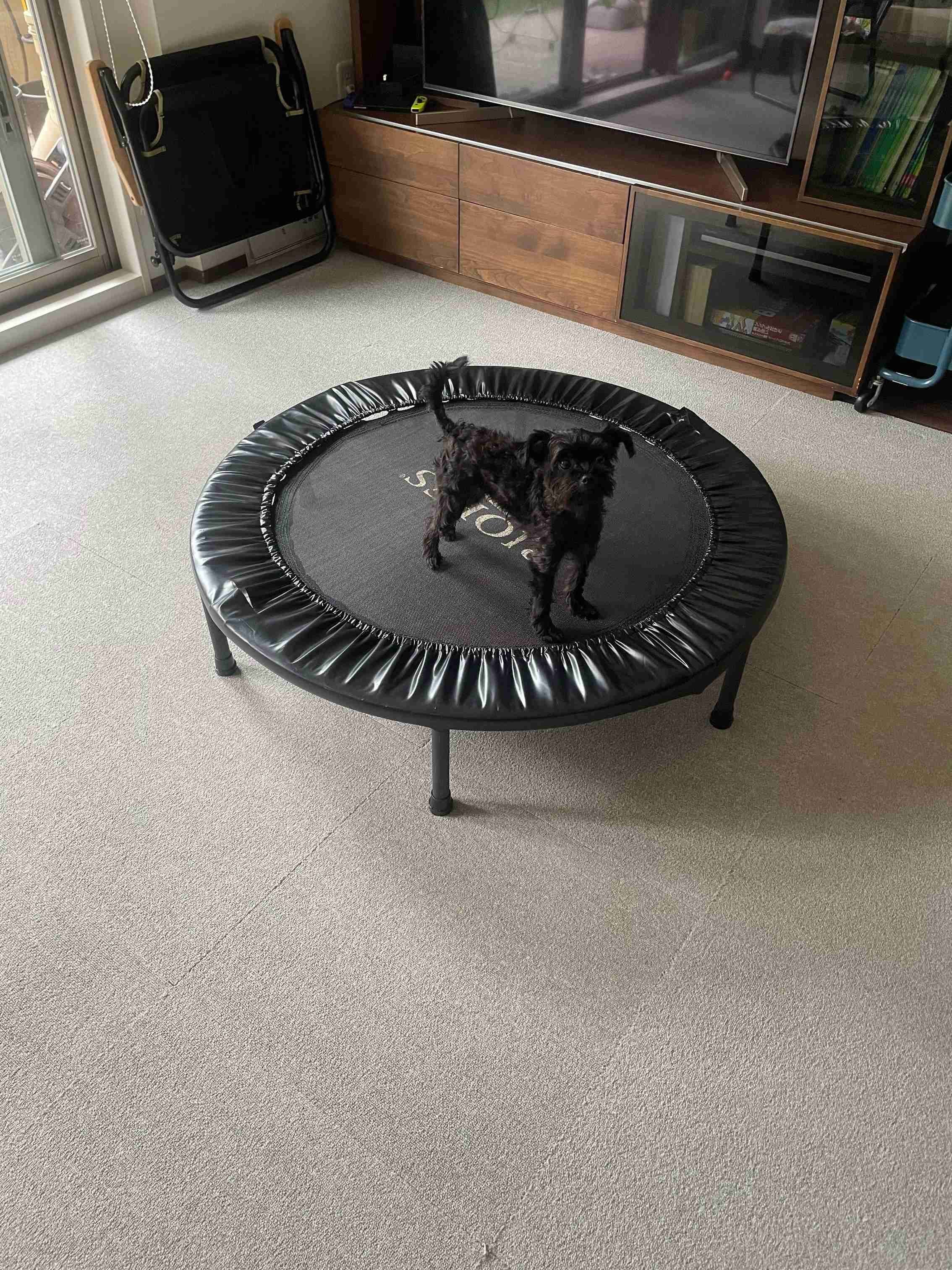 【当たり前の景色を無くす！】また1つ大物とお別れしました。