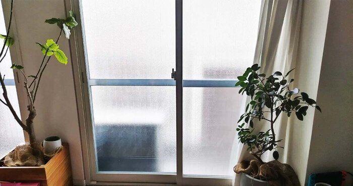 コスパ最高！たった3つのアイテムで窓周りをピカピカにする方法