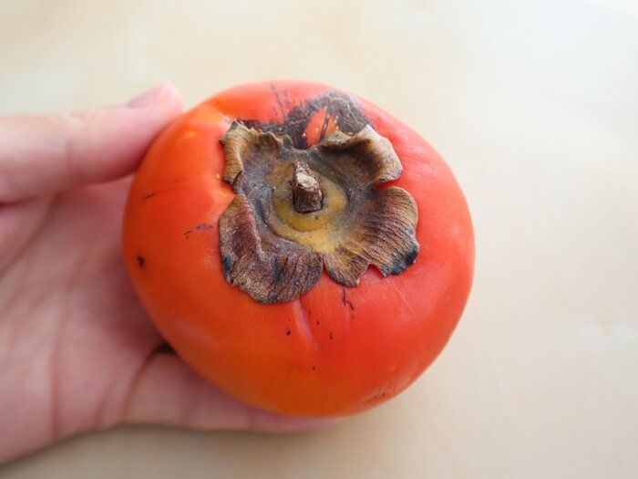 熟しすぎた柿もおいしく食べられる！救済スイーツレシピ2つ