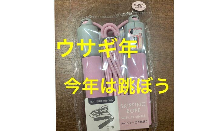 【ダイソーの300均スリーピー】ダイエットインストラクターおすすめ！正月太り解消の運動グッズ