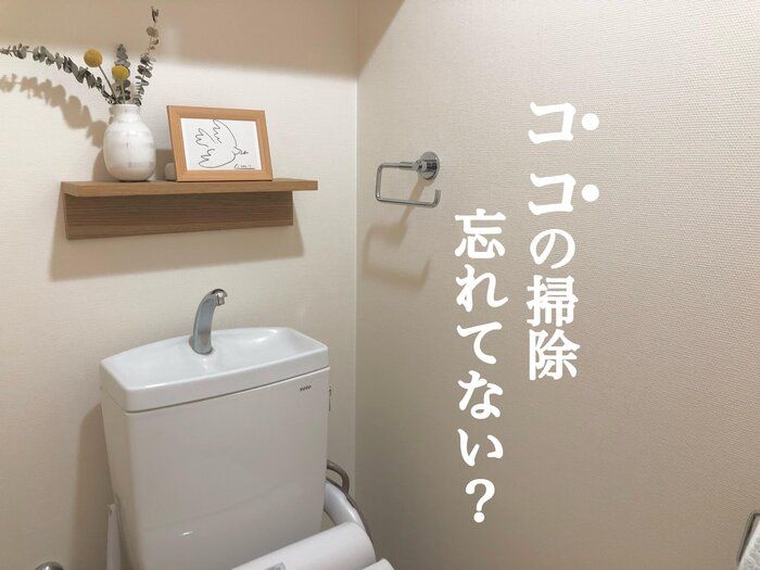 ココの掃除忘れてない？トイレが臭う時にやって欲しい見落としがちな掃除場所