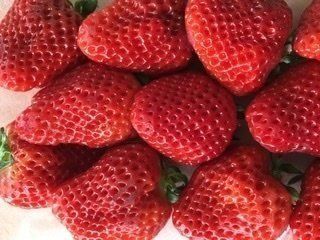 お姫様のイチゴ！