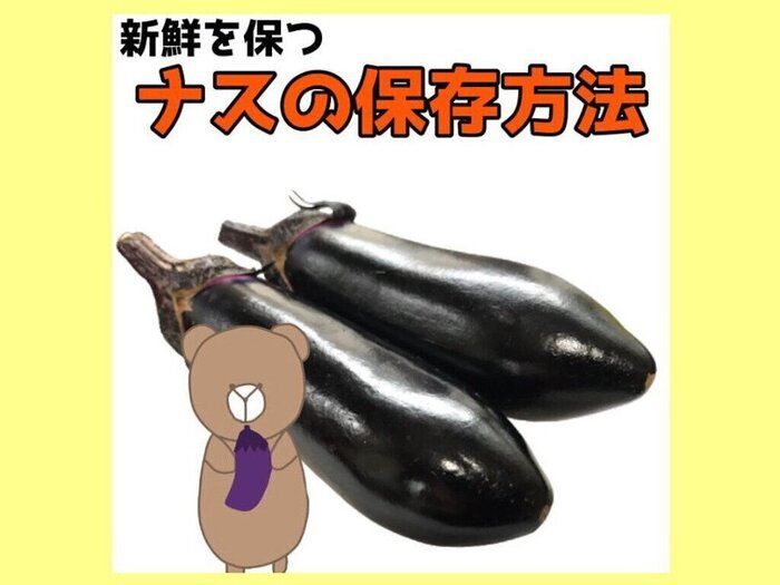 野菜のプロが教える新鮮を保つナスの保存方法