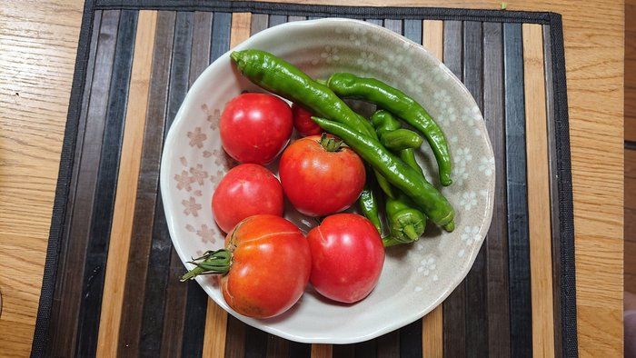 成長を感じた一年でした