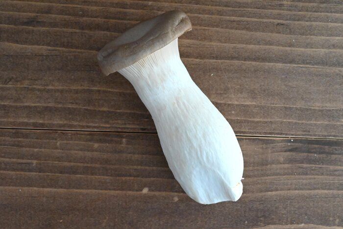 メイン食材エリンギだけ！切り方を変えて楽しもう♪エリンギ副菜レシピ3選