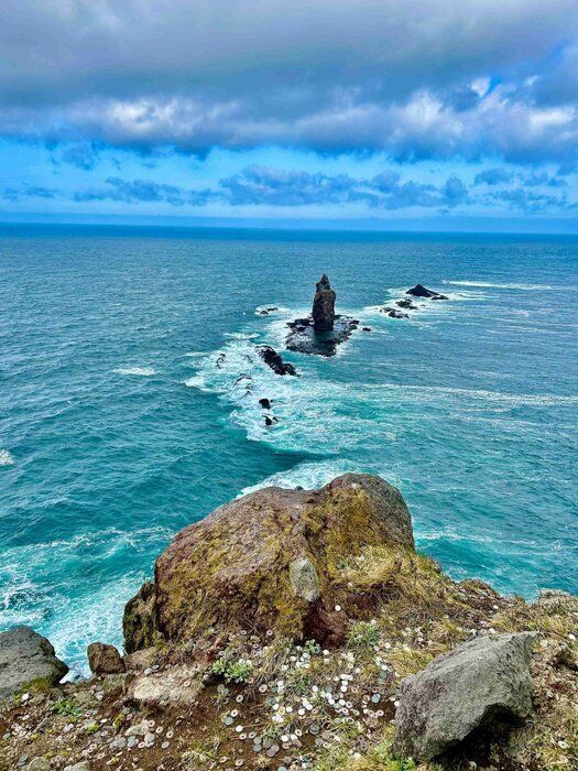 写真でご紹介！夏休みにオススメ「北海道周遊旅行」【前編】