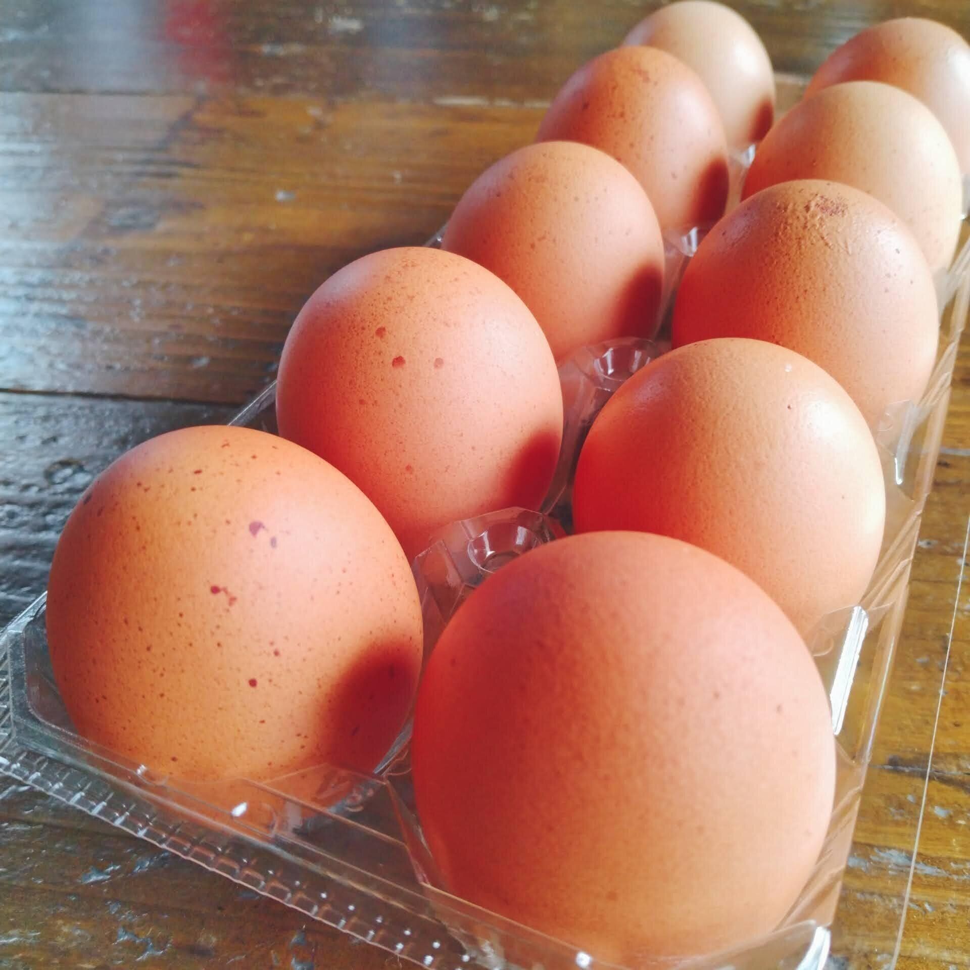 【節約】コスパ最強の玉子料理3選