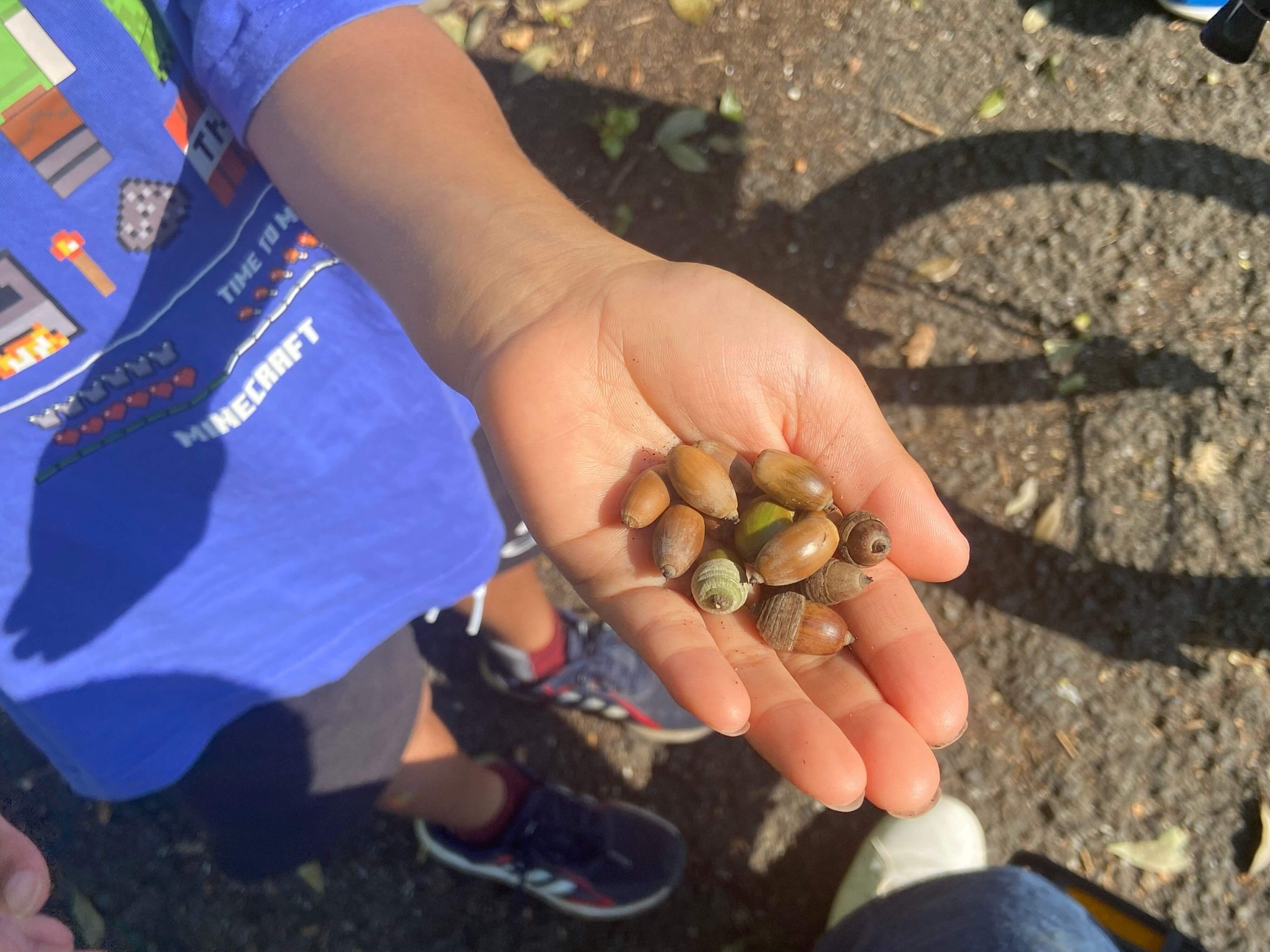 【ミニマリスト】秋は捨て活にぴったりな季節である3つの理由