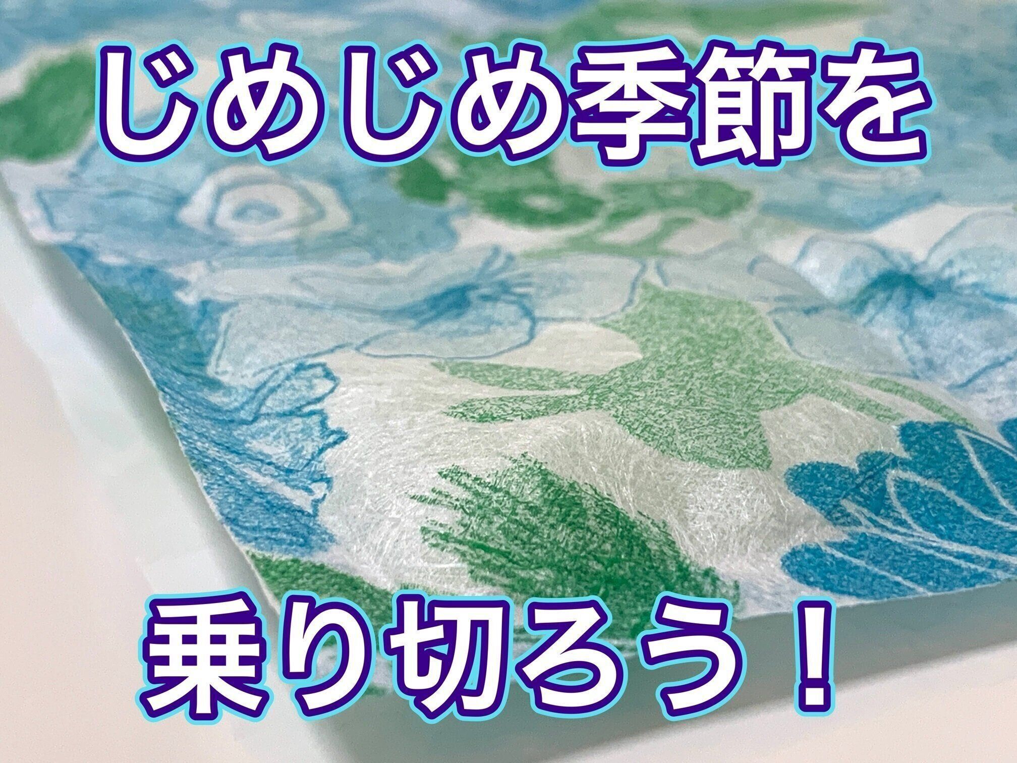 【梅雨のジメジメ対策】まずは物を整理！そして対策アイテム