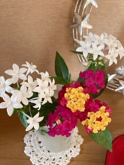 〈愉しくオバさんを生きていく。〉自分のために選ぶって、愉しいね！