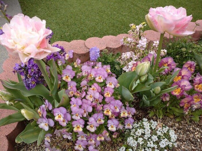 【自己紹介】『いつでも私を心地よく』が合言葉♪男の子2人を育てる看護師ママのたまみです。