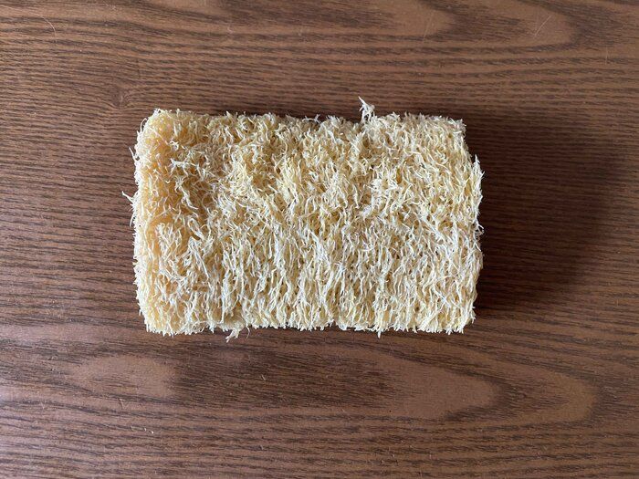 キッチンスポンジを「ヘチマ」に替えて2か月後はどうなった？