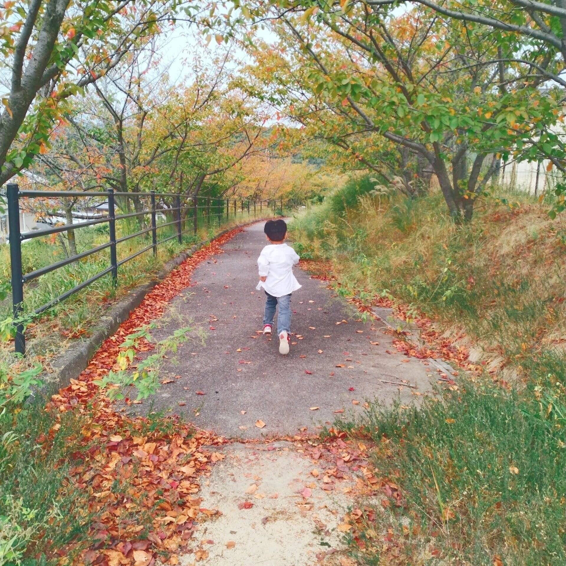 【総資産4,200万円】わが家が子ども達にしている5つの｢金育｣