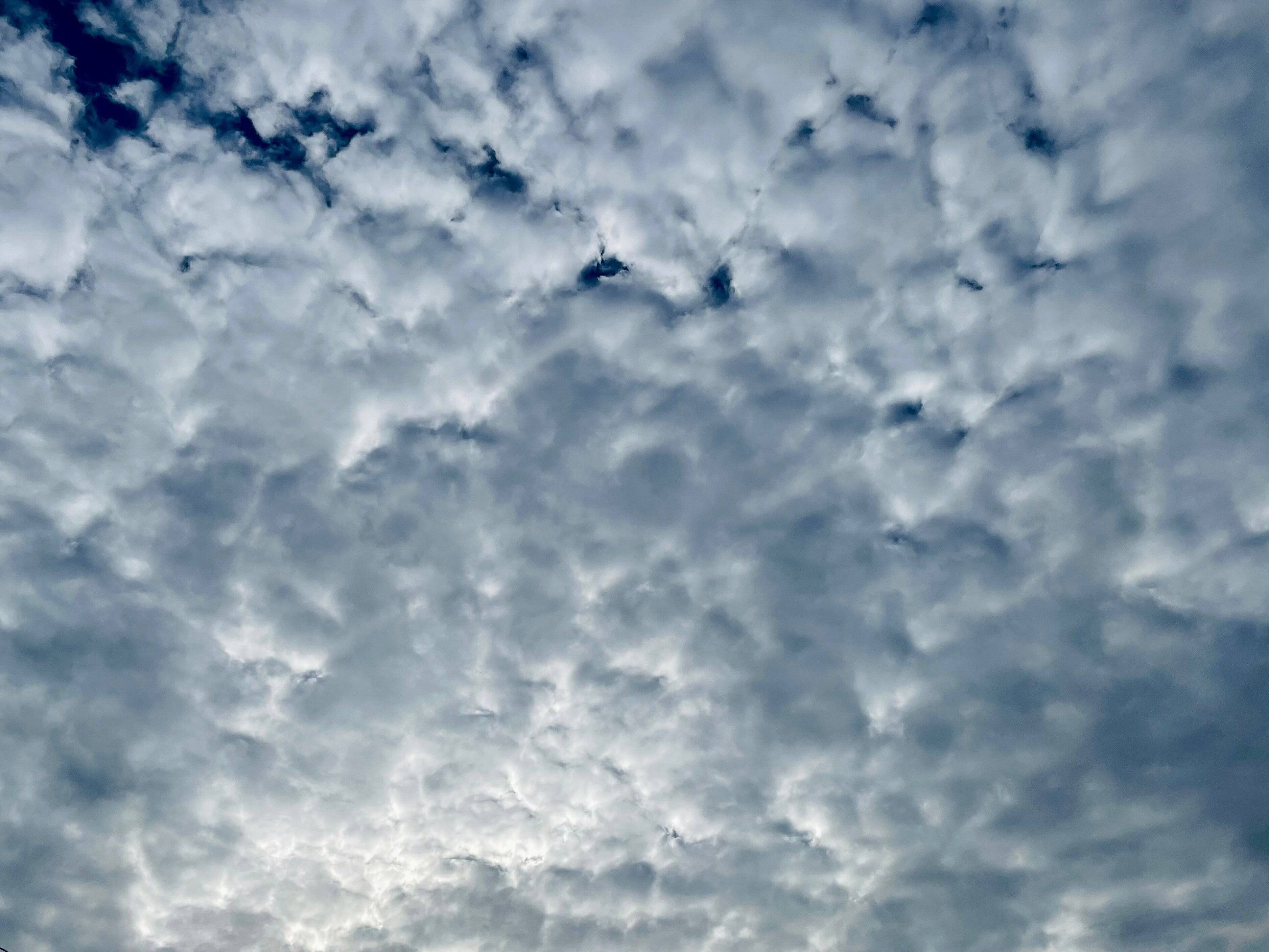 【揺れる40代】幸せに生きるために手放したい4つのこと